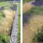 FMp_parc-des-lilas2