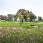 Orly-Parc-mermoz-home-slider