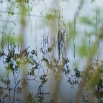 home_slider05