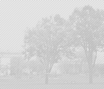 vignette_projet_220