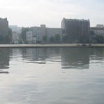 FMp_sdic_02
