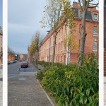FMp_zac-friant_04