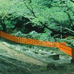 content-slider-1