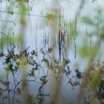 content-slider-4